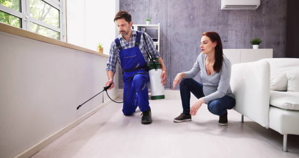 Professional Pest Control in Plumas Lake, CA